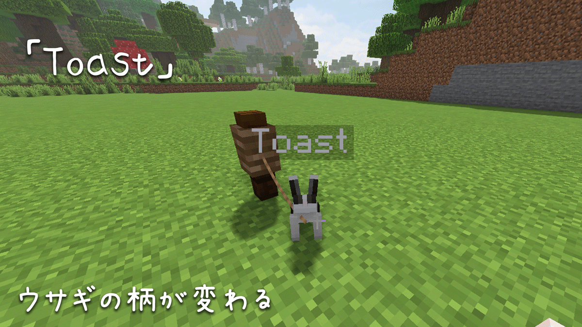 マイクラ 名札 裏 ワザ マイクラ 名札の裏ワザ４選 1 まとめ Mod無し Minecraft公式裏技 最新版 Tmh Io