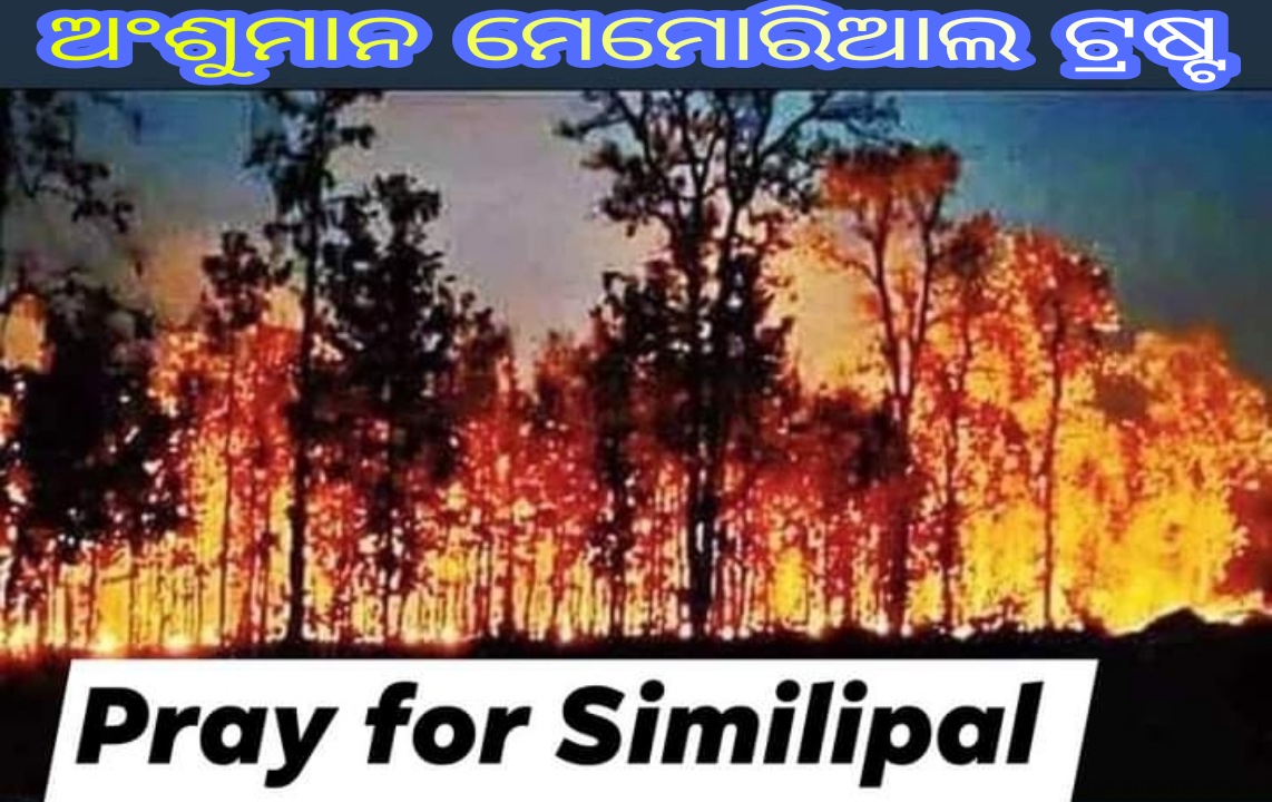 TirtharajPanda's tweet photo. I don't understand why #Simplipal isn't in the focus right now? It is one of the largest biological reserves of India and it  is burning for last few days. @PrakashJavdekar  @DEFCCOfficial  @moefcc @ForestDeptt @dpradhanbjp @pcsarangi @MinistryForest @CMO_Odisha @narendramodi https://t.co/0Z2iv8B6CB