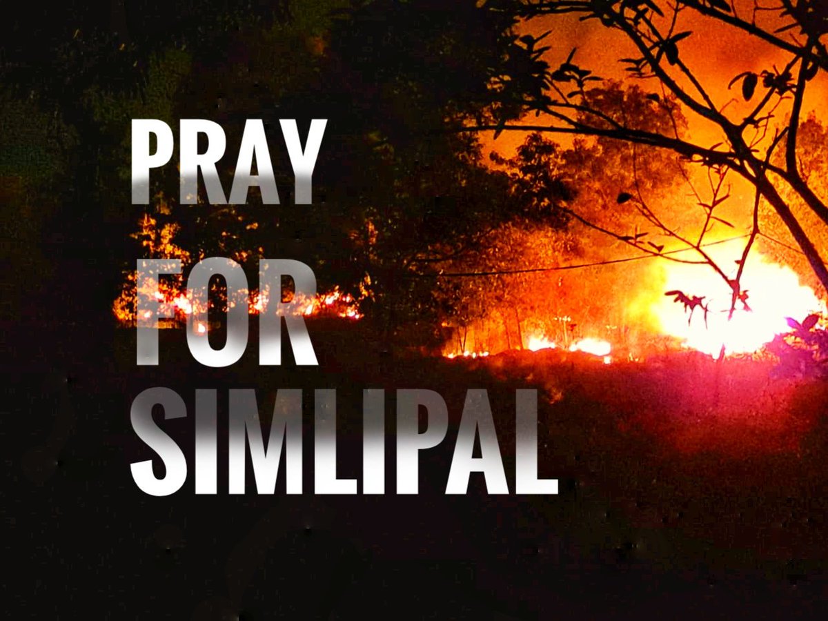 TirtharajPanda's tweet photo. I don't understand why #Simplipal isn't in the focus right now? It is one of the largest biological reserves of India and it  is burning for last few days. @PrakashJavdekar  @DEFCCOfficial  @moefcc @ForestDeptt @dpradhanbjp @pcsarangi @MinistryForest @CMO_Odisha @narendramodi https://t.co/0Z2iv8B6CB