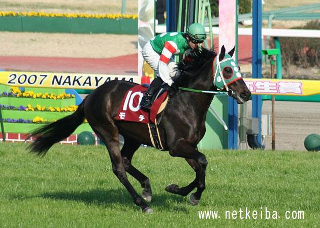 競馬好きの友達が教えてくれた競走馬で一番好きな名前は モチ で実況が モチ伸びる モチ伸びる などと叫んでいた Togetter