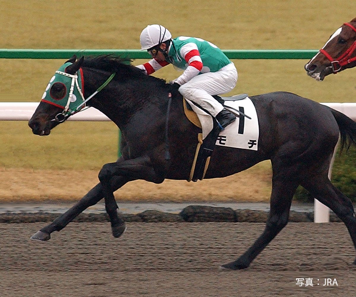 競馬好きの友達が教えてくれた競走馬で一番好きな名前は モチ で実況が モチ伸びる モチ伸びる などと叫んでいた Togetter