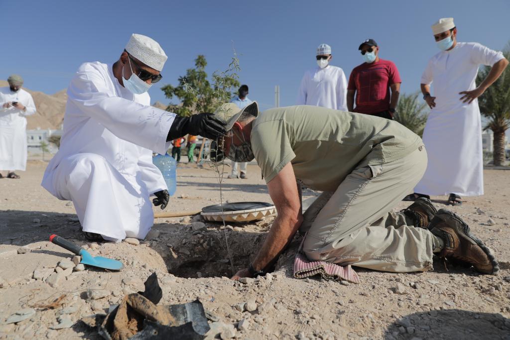 bp_Oman's tweet photo. بدأنا بزراعة أول دفعة من أصل 800 شجرة محلية سنقوم بزراعتها لتمثل جميع موظفينا الذين ساهموا في التشغيل الناجح لحقل #غزير. نتطلع لنمو هذه الأشجار بازدهار موا��بةً لرؤية عُمان  2040 الهادفة لبناء مستقبل مستدام لعُمان 🌲🌳 https://t.co/wR8h0t6qWP