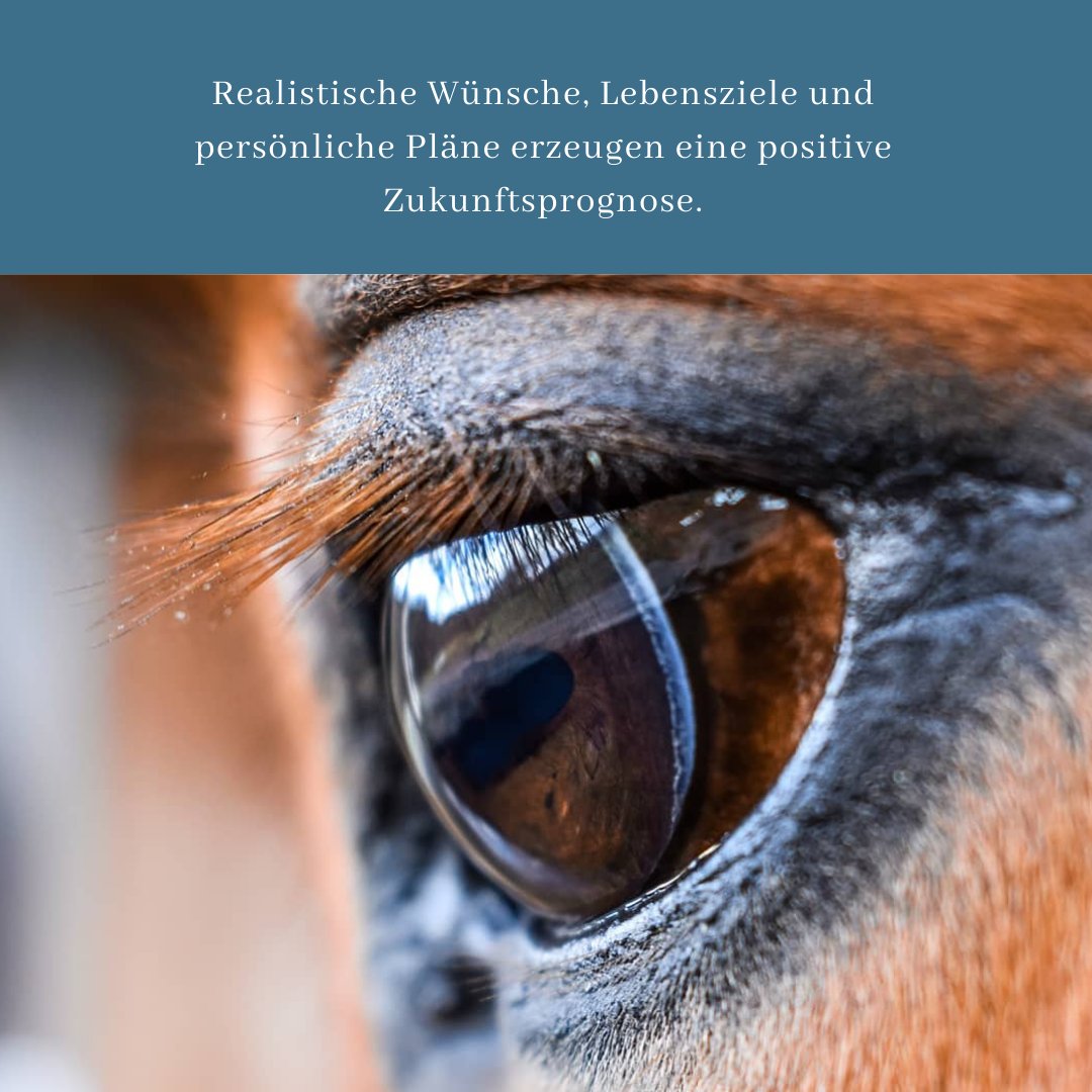 Realistische Wünsche, Lebensziele und persönliche Pläne erzeugen eine positive Zukunftsprognose.
Für die Zukunftsplanung gibt es einige Tools. Hier stelle ich die S.M.A.R.T. - Technik vor.
nannisraeuberleben.de/2021/03/waldra…