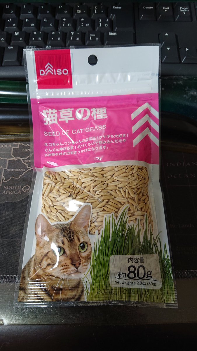 要 猫草の種 容量は80ｇ ダイソーなので100円 税 発芽率もそこそこ高くてうちの猫たちは安定してコレです 2個いりで100円のタッパーを使って ローテーションしてます Daiso ダイソー 猫草 猫草の種