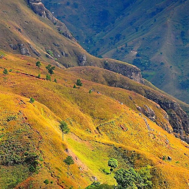 LouBSimone1's tweet image. 📢Y'a-t-il dans ma TL un.e #videaste #cineaste qui a envie de monter un #shortfilm adapté d'une histoire de sexe d'amour et de voyage sur fond de #realismemagique, #vaudou et #multiculturalité? 🌍
M.P pour des infos plus précises. 
#Ayiti
#BookTwitter