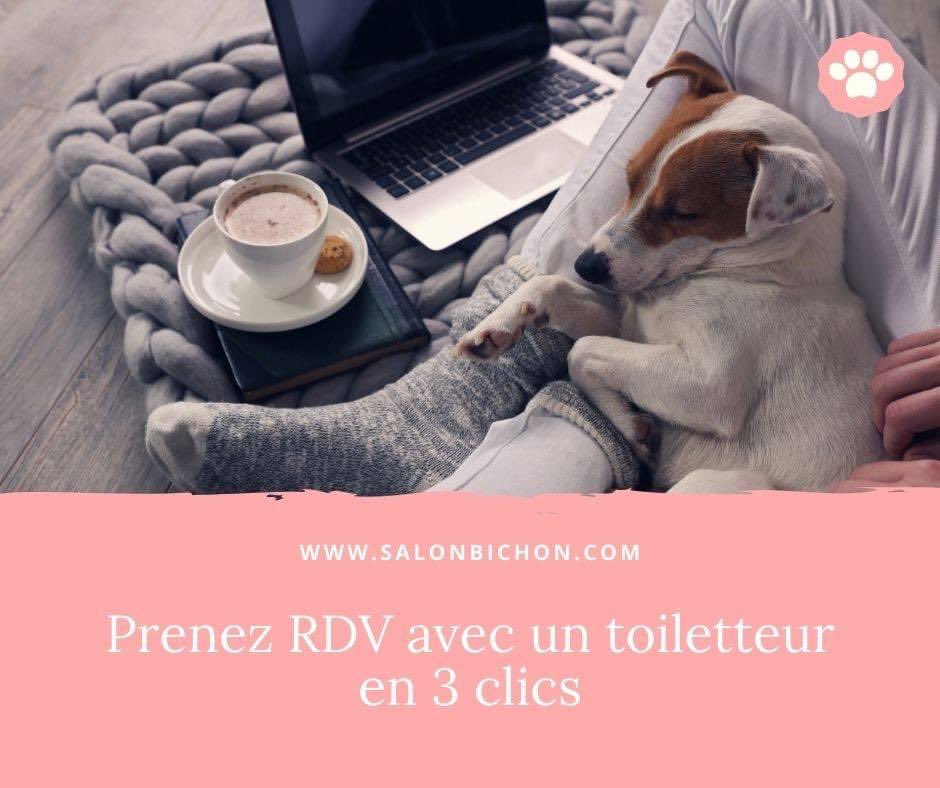 BichonSalon's tweet photo. Un rdv avec un toiletteur pour votre chien ou votre chat ✂️🐶🐱✂️? Venez sur : https://t.co/CvYl3Ny2dk afin de prendre RDV en 3 clics avec un toiletteur proche de chez vous #rdvenligne #salonbichon #animaldecompagnie #chien #chat #toilettage #toiletteur https://t.co/40dlPbPtkx