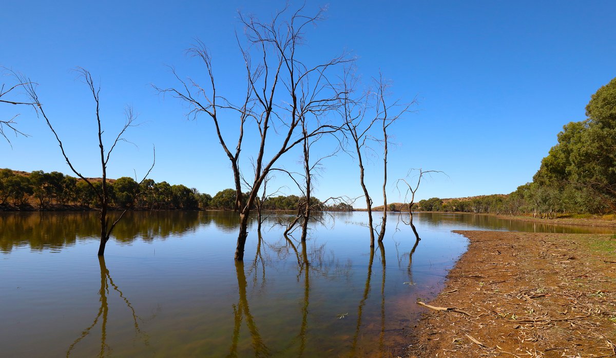 SandyHorne61's tweet photo. Pekina Creek Reservoir (where I enjoyed watching musk ducks)
@BOM_SA @BOM_au @ABCRural @EldersLimited #PekinaCreek #Orroroo #FlindersRanges #SouthAustralia #landscapephotography https://t.co/bKU24eVVTc