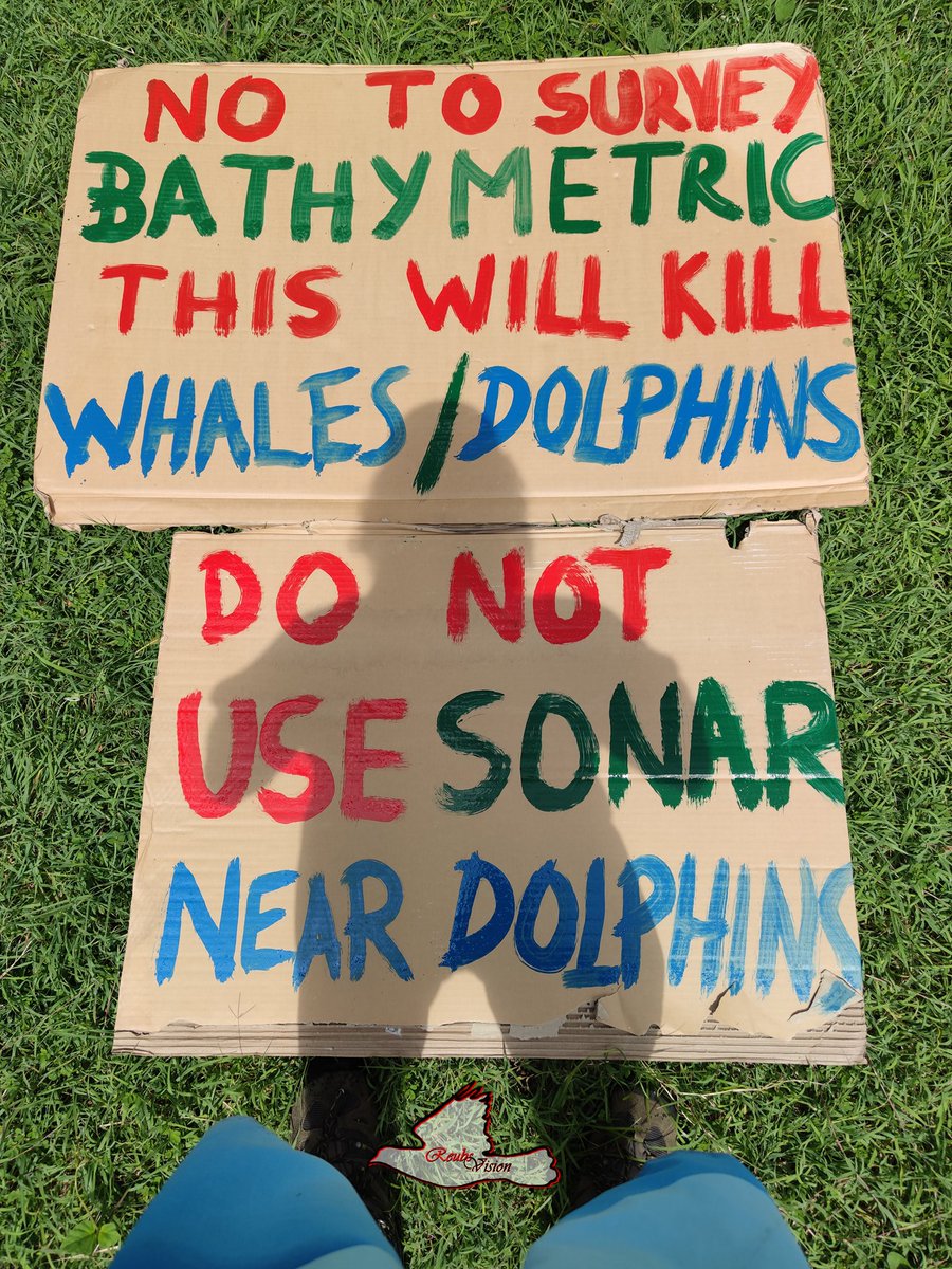 They plan to do #bathymetric survey at chinese boat crash site! Dolphins and Whales regularly visit those waters.
If we don't act now, we will have #massStrandings of #dolphins and #whales again, and they will all suffer the same fate as those post #wakashio dolphins and whales.