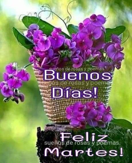 <a href="/nataliepastor7/">🦋💗 Nᥲtᥲᥣιᥱ 💗🦋</a> Buenos días Natalie corazón 💓 mil besos 😘