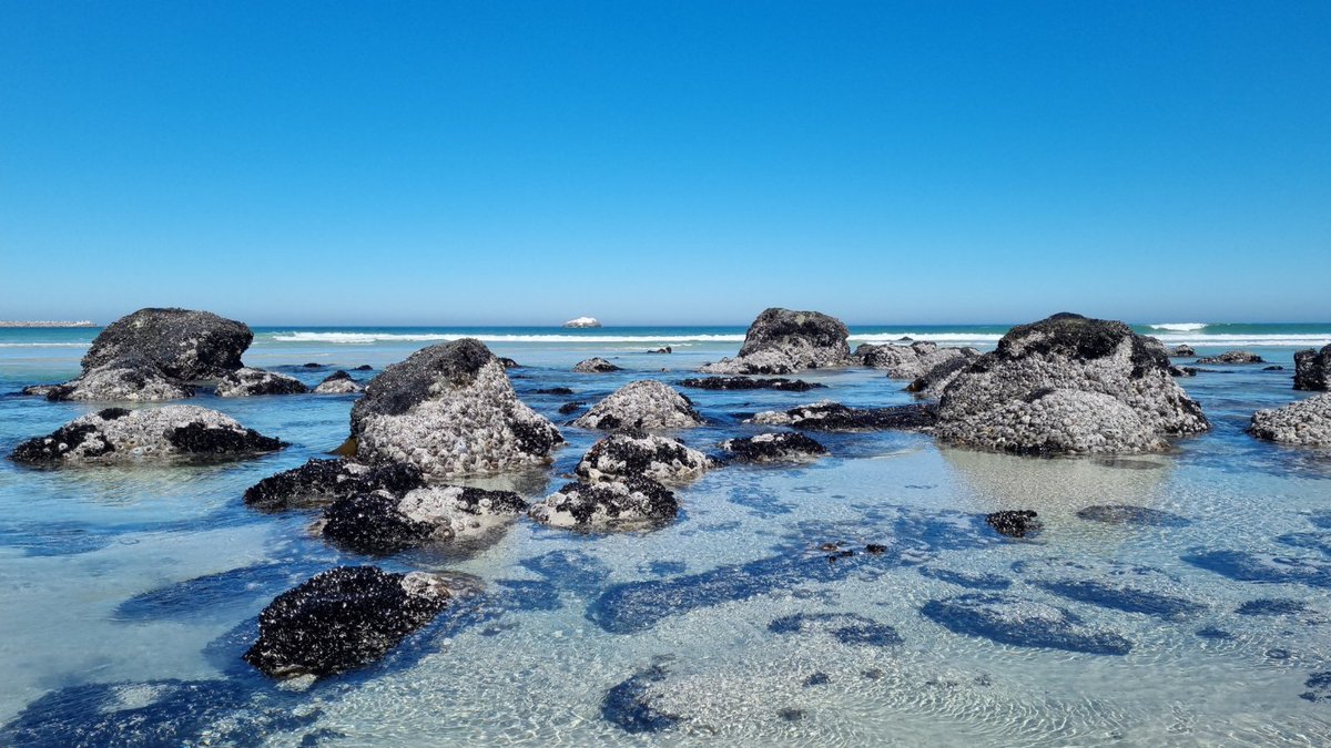 OneStopWander's tweet image. 🏖️ Beach daze at #Yzerfontein
The stuff of summer dreams 😍
 
Endless uncrowded flat beach &amp;amp; shallow crystal clear water. Bodyboarding, beach digging &amp;amp; rock pool scavenging. So much fun they forgot to fight for a few hours!🤭

#sharesouthafrica #meetsouthafrica #beachlife