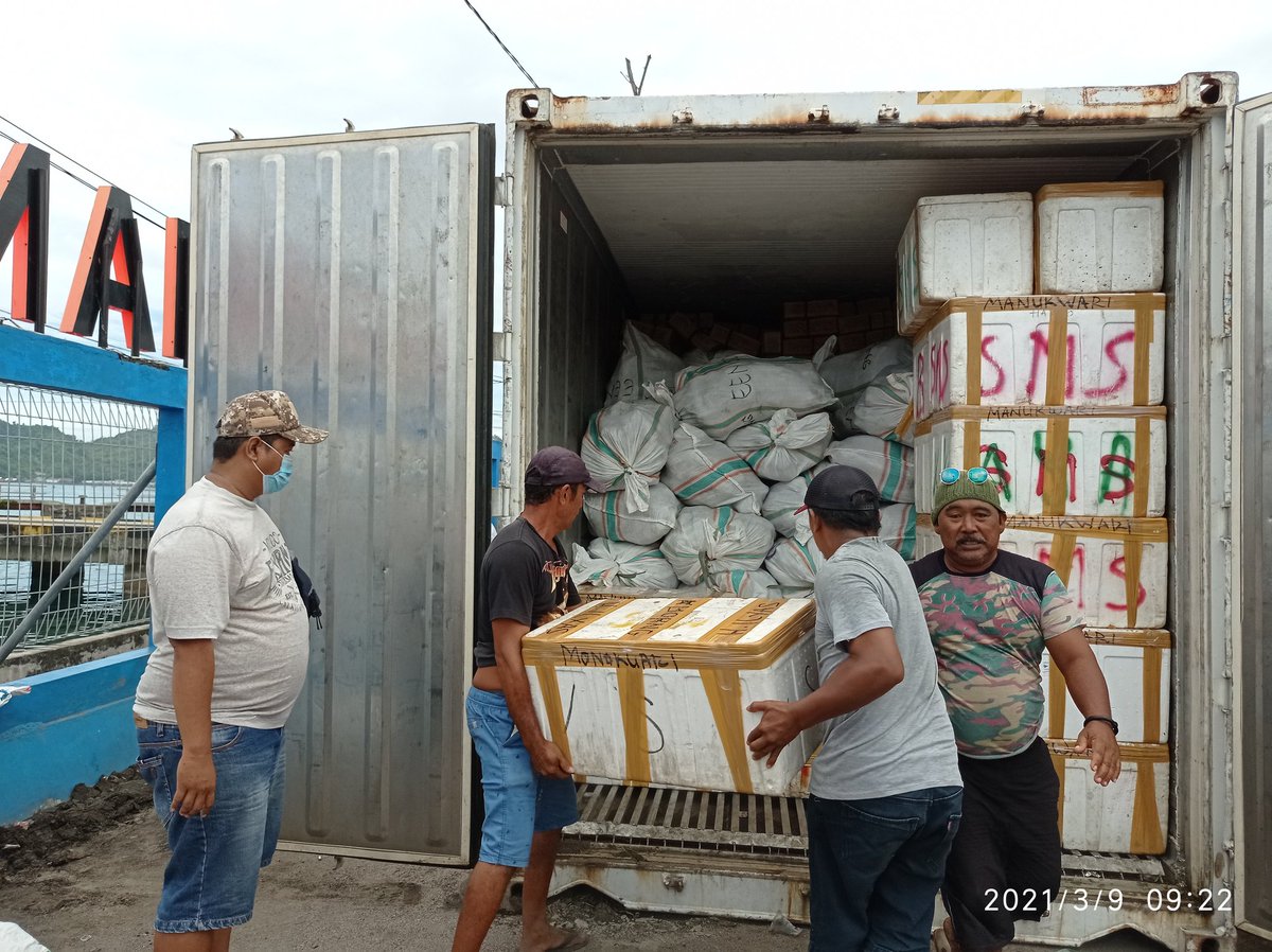wilkerbalut's tweet photo. 09/03/2021 #OneHealthKIPM Kegiatan Pengawasan Stuffing di Pelabuhan Pelni Banggai Laut, Cumi Cumi Beku 5.700 Kg, Kembung Beku 2.000 Kg, Kuwe Beku 2.300 Kg dan Layang Segar 800 Kg Milik Ramli Tujuan Manokwari, Sorong, dan Jayapura Via KM. Sinabung Oleh petugas :
@Wilkerbalut https://t.co/Vmf6mbgR66