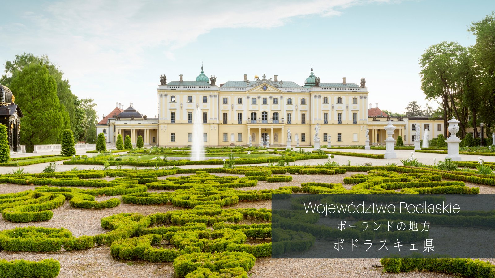 駐日ポーランド共和国大使館 on Twitter 