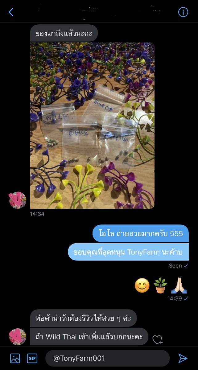 tinygarden420's tweet photo. ขอบคุณรีวิวที่สวยมาก ๆ จากลูกค้าครับ เซนเซอร์ชื่อให้แล้วน้า 😊 ท่านไหนของถึงแล้วแจ้งผมด้วยนะค้าบ
#เมล็ดกัญชา #ขายเมล็ดกัญชา #ใบกัญชาสด
#BlueOG #OGkush #OGKZ #WildThai #Estella #หางกระรอกภูพาน #เกรียงกระเวีย #เอราวัณช้างเผือก https://t.co/jGujTyRezK