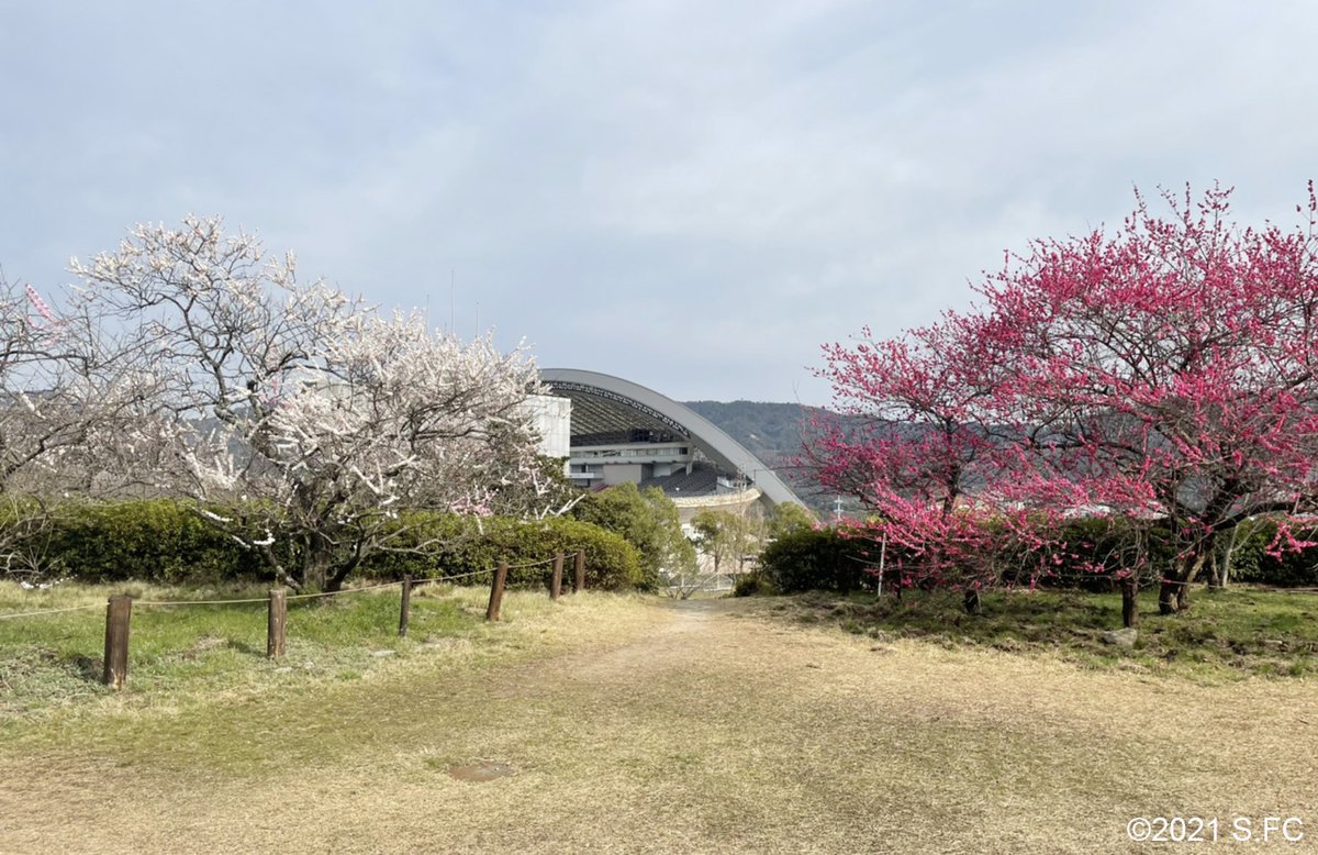 sanfrecce_SFC tweet picture