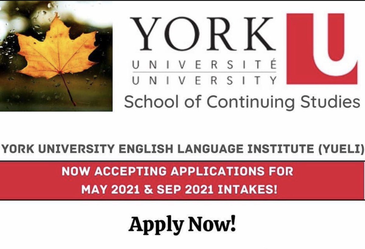 connect_level's tweet image. Study in Canada at York university with us we can help you until you get a visa