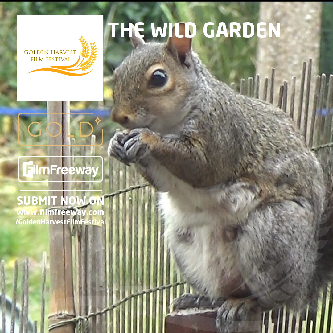 Submission: filmfreeway.com/GoldenHarvestF…
Instagram: instagram.com/goldenharvestf…
Facebook: facebook.com/GoldenHarvestF…
#FilmFestival #Filmmaker #Filmmaking