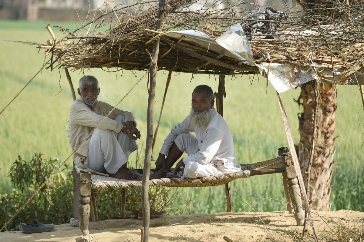 TheLallantop's tweet image. आवारा जानवरों से खेत बचाते चंदरपाल और अकबर अली.

तस्वीर मेरठ की है. Photo : PTI