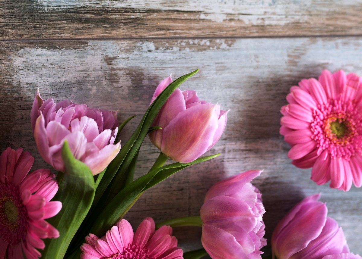A perfect gift for Mother's Day... MILL gift vouchers are available to buy online in a range of monetary and experience vouchers all valid for 2 years from date of purchase.
So treat your Mum to a day to look forward to at the MILL. 
millhotelandspa.wearegifted.co.uk

#MothersDay2021