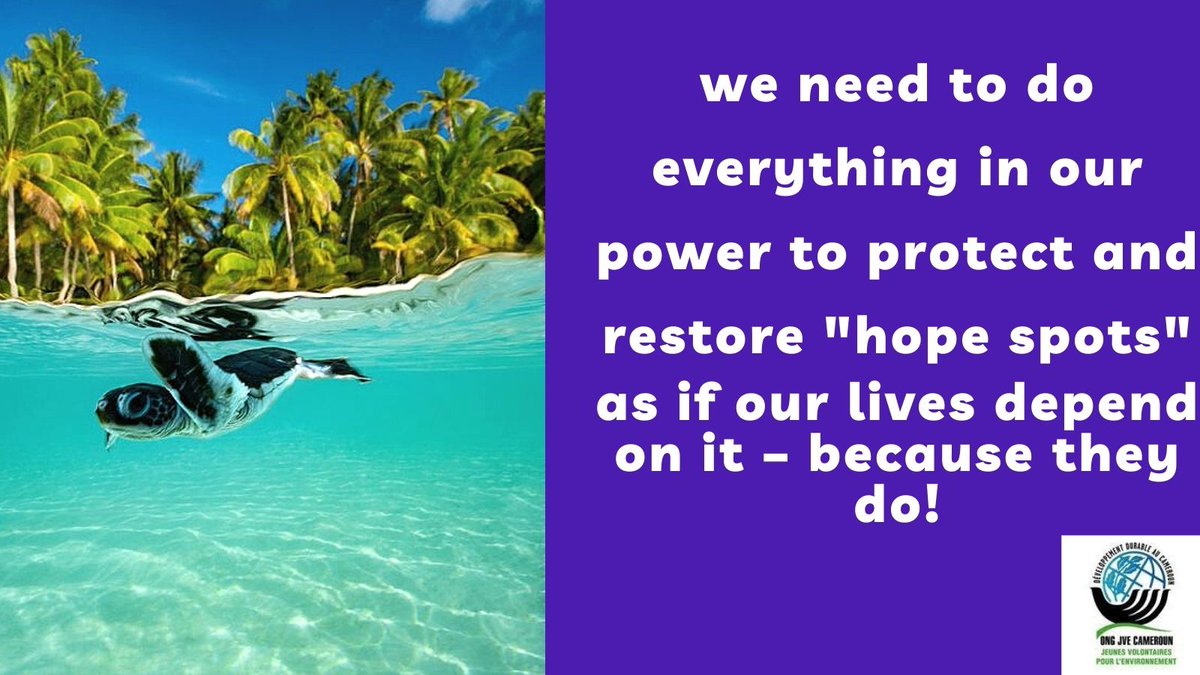 The time is now to do what we can to continue to conserve this special place. #MissionBleu <a href="/bsdkrs/">Blondel Silenou</a> <a href="/Cladelle2/">Cladelle Tido</a> <a href="/WWF/">WWF</a> <a href="/UICN_PACO/">UICN-PACO</a> <a href="/UICNfrance/">Comité français de l'UICN</a> <a href="/JVE_Int/">JVE International</a> <a href="/Jveivoire/">JVE Côte d'Ivoire</a> @jvesenegal <a href="/YVE_Nigeria/">YVE Nigeria</a> <a href="/yvegambia/">YVE Gambia</a> <a href="/rwandayve/">Young Volunteers for the Environment (YVE) Rwanda</a> #SylviaEarle #HopeSpots #BlueHope #GreenSeaTurtle #Research #Conservation