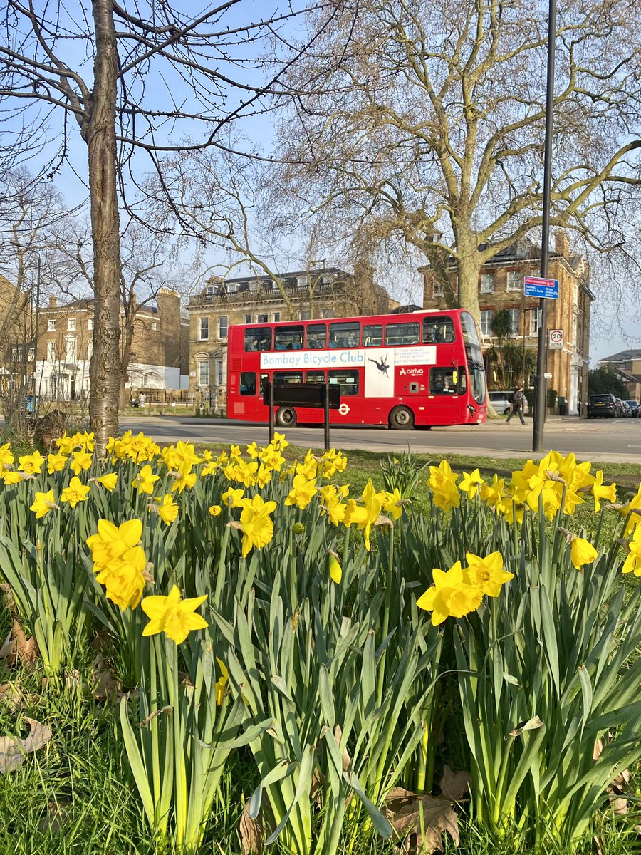 Spring is here. Enjoy your day. 😎

#ClaphamCommon #SpringinLondon
