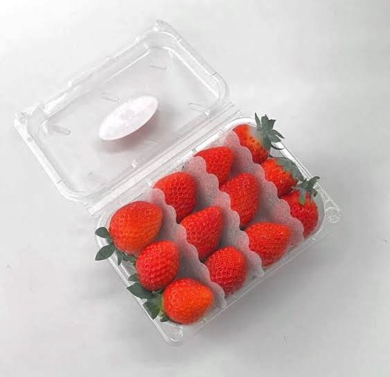 formerquirkless's tweet photo. "Good timing! A very kind grandma just gave me a box of strawberries before i got here." He took out a box of strawberry then picked one of the strawberries from the box.

Not handing it to you yet, he looked at you instead—with glitter of hope in his eyes. "Um, can i feed you?" https://t.co/OgbUbu7bxp