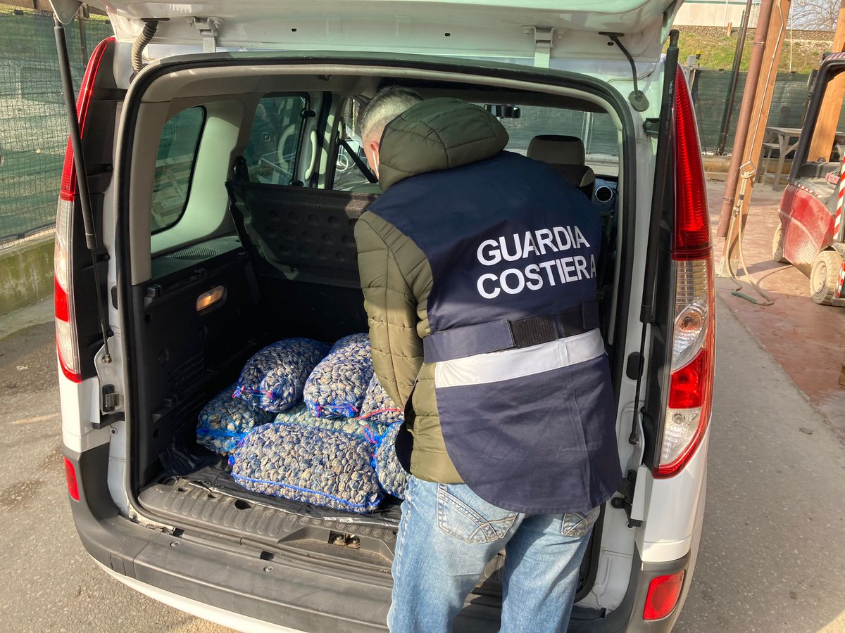 cpsbtronto's tweet photo. CUPRA MARITTIMA, SANZIONATO OPERATORE DEL SETTORE ITTICO E SEQUESTRATI 130 KG DI VONGOLE.
https://t.co/zFynY8nQg0 https://t.co/UWu4f7DIpX