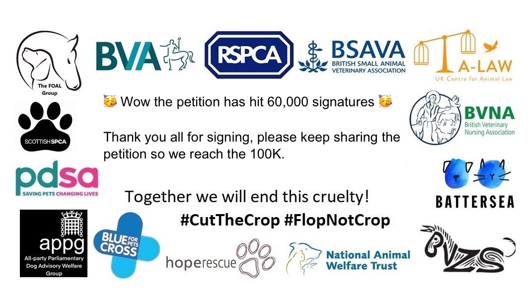 theFOALGroup's tweet photo. 🚨Campaign Klaxon🚨

60,000 signatures, it’s been a busy couple of days! 

Please keep sharing &amp; signing. We can not thank everyone enough for all your support. 
It’s time to close this loophole, it’s time to #CutTheCrop!

Sign our #FlopNotCrop petition - https://t.co/ZLEsvwMvOs https://t.co/nnxuXx5L2f