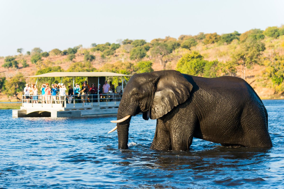Chobe_Marina's tweet photo. Reunite and celebrate with the whole family this Easter at Chobe Marina Lodge.

Book our 4 Day Easter Special with an exclusive tour to the exciting Ngoma Village and sailing in mokoros for only P 11 530 per 2 pax.  

Bookings: res1@chobemarinalodge.com | +267 625 2221 https://t.co/fZDzabxRfY
