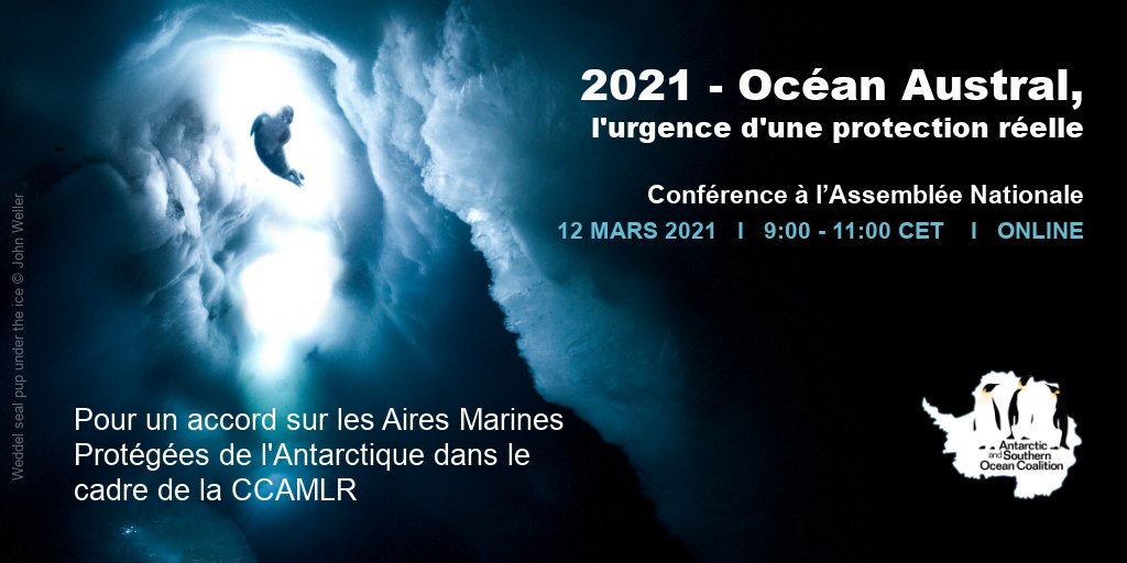 [Conférence] Organisé par <a href="/AssembleeNat/">Assemblée nationale</a> ce dialogue franco-européen mobilise scientifiques et responsables politiques en vue d’un futur accord sur le réseau #AiresMarinesProtégées Antarctique #CCAMLR 

Inscription ✍ bit.ly/OceanAustral 

#30x30 #DirectAN #Antarctica2020