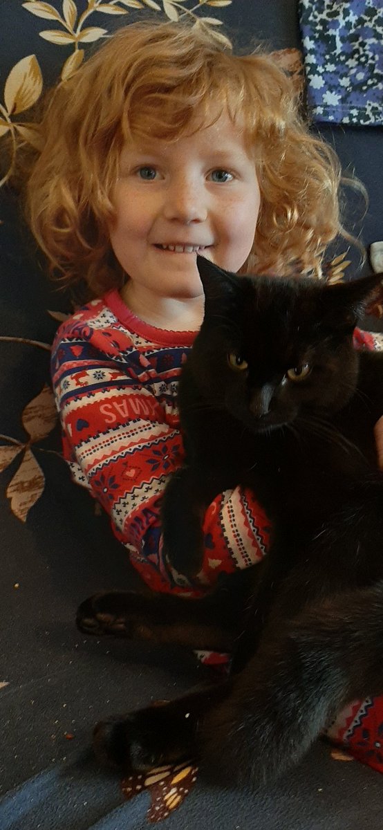 Hi #Thurles, our kitty is missing and I now have three heartbroken little girls. He hasn't been neutered yet so we're hoping he is on a long journey to find a girlfriend but fearing the worst. If you see a little black-furred dude please let me know, we miss him.