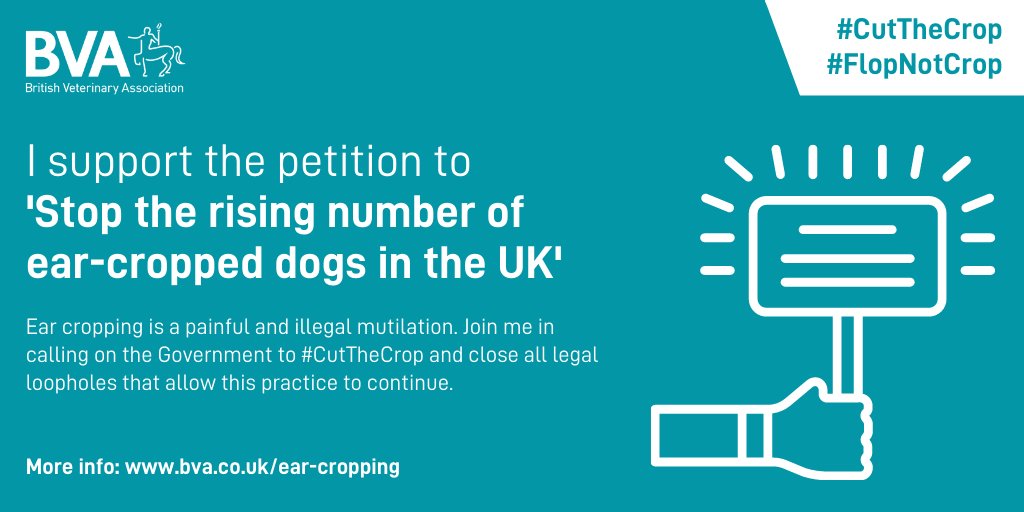 BritishVets tweet media