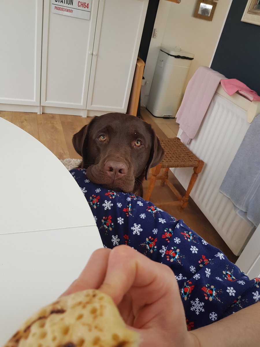 PotatoAphidMan's tweet photo. I think someone wants some of my crumpet... https://t.co/ScN7gbq14K