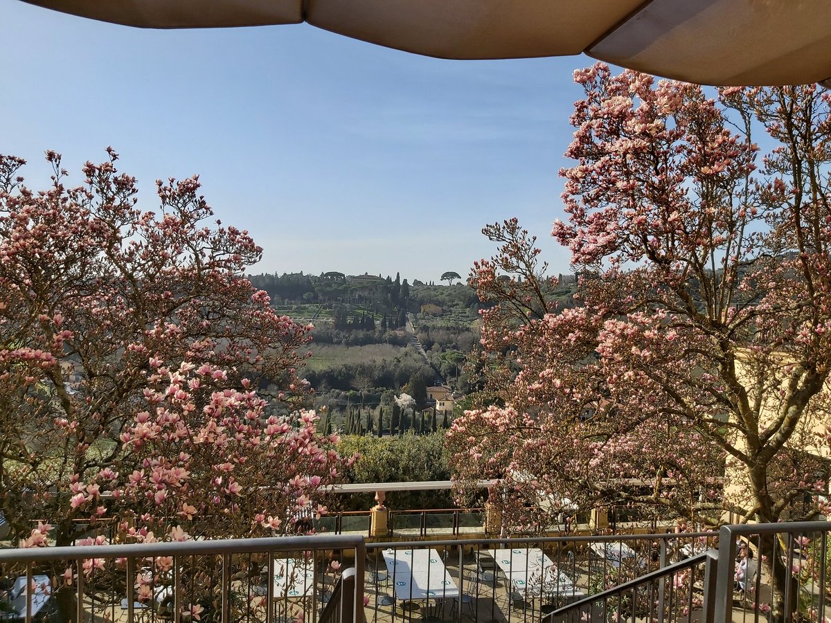 Believe it or not, this a working place @EuropeanUni
