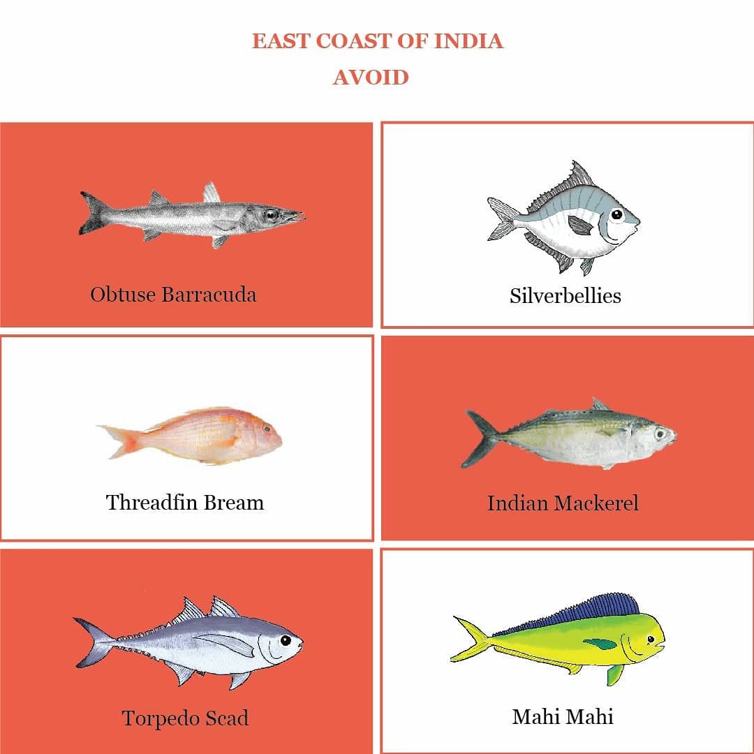 Our #seafoodcalendar has a list of species that consumers should avoid for the month. Here is our species list to avoid in March. #askforinseasonfish