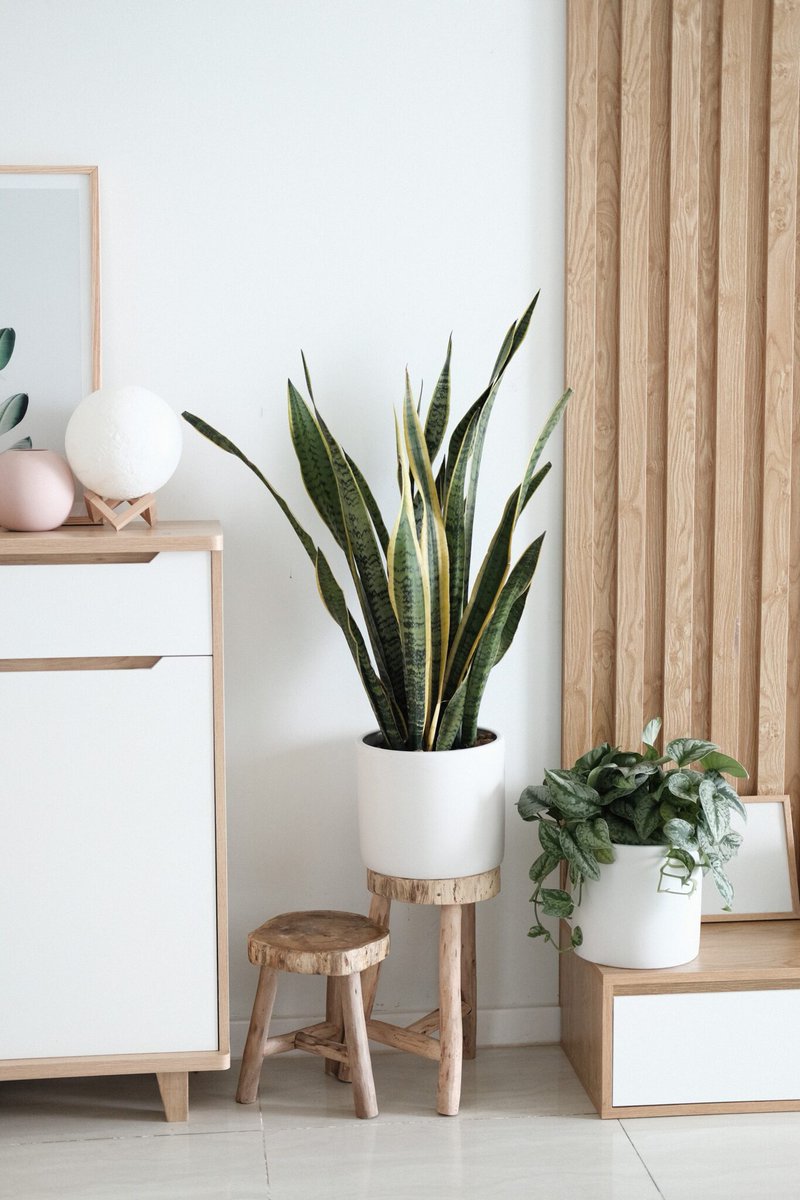 CooleSuggesties's tweet photo. Maak van je huis een thuis - https://t.co/YwlflllaOK #DoeHetZelf #Interieur #Sfeer #thuis #afwerking #huis https://t.co/Xog9ZNqvMg