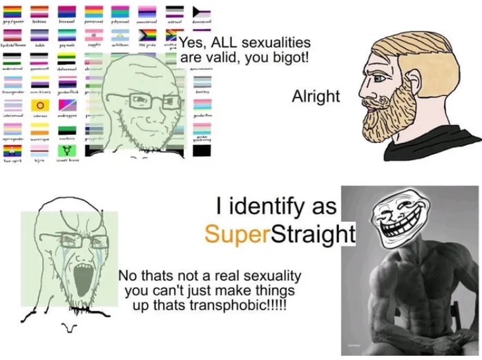 arun_richards's tweet photo. #SuperStraight explained in two panels. https://t.co/gqsvxZhzn9