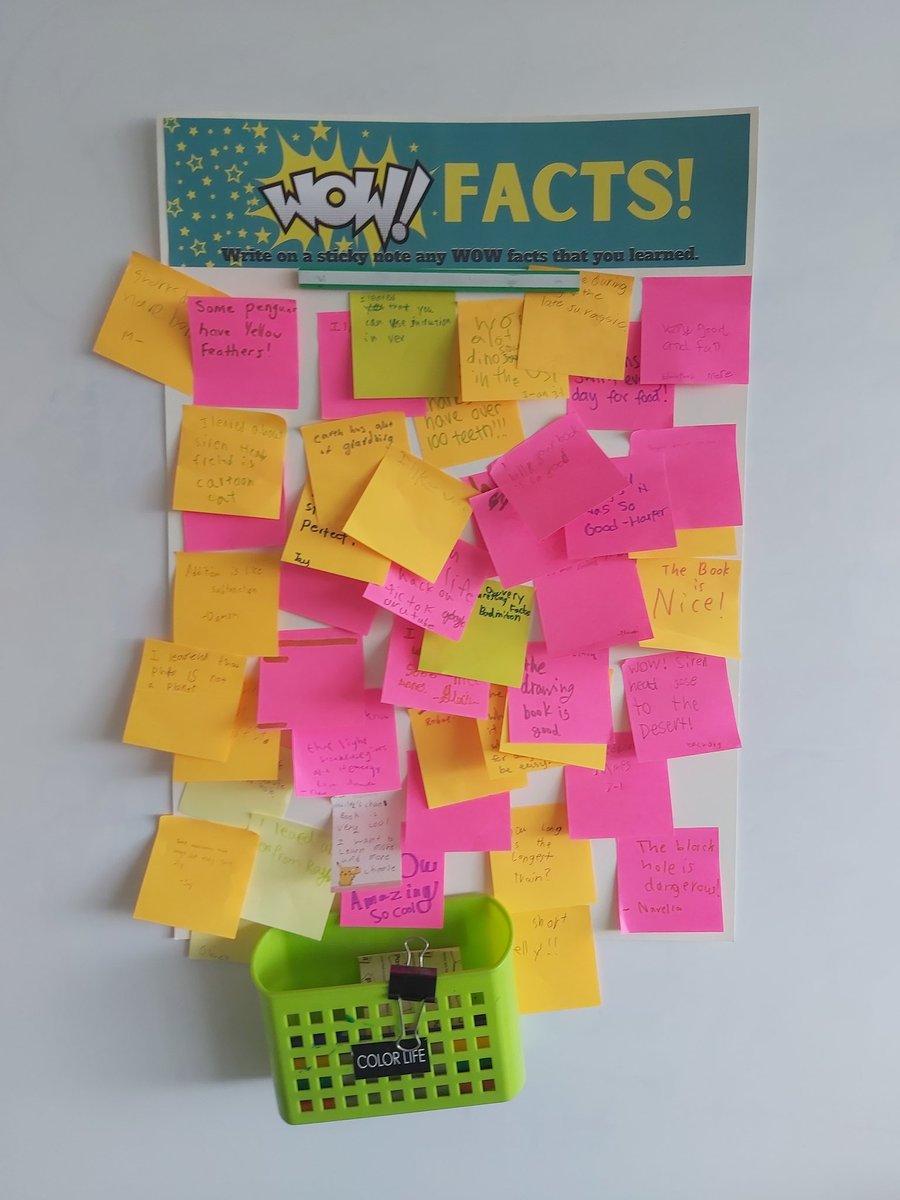CBoon18's tweet photo. Ss in 3-1 have been working hard on creating information books on a topic they know a lot about. Today was celebration day! #tismacao @TISMacao https://t.co/uMXijSepEJ