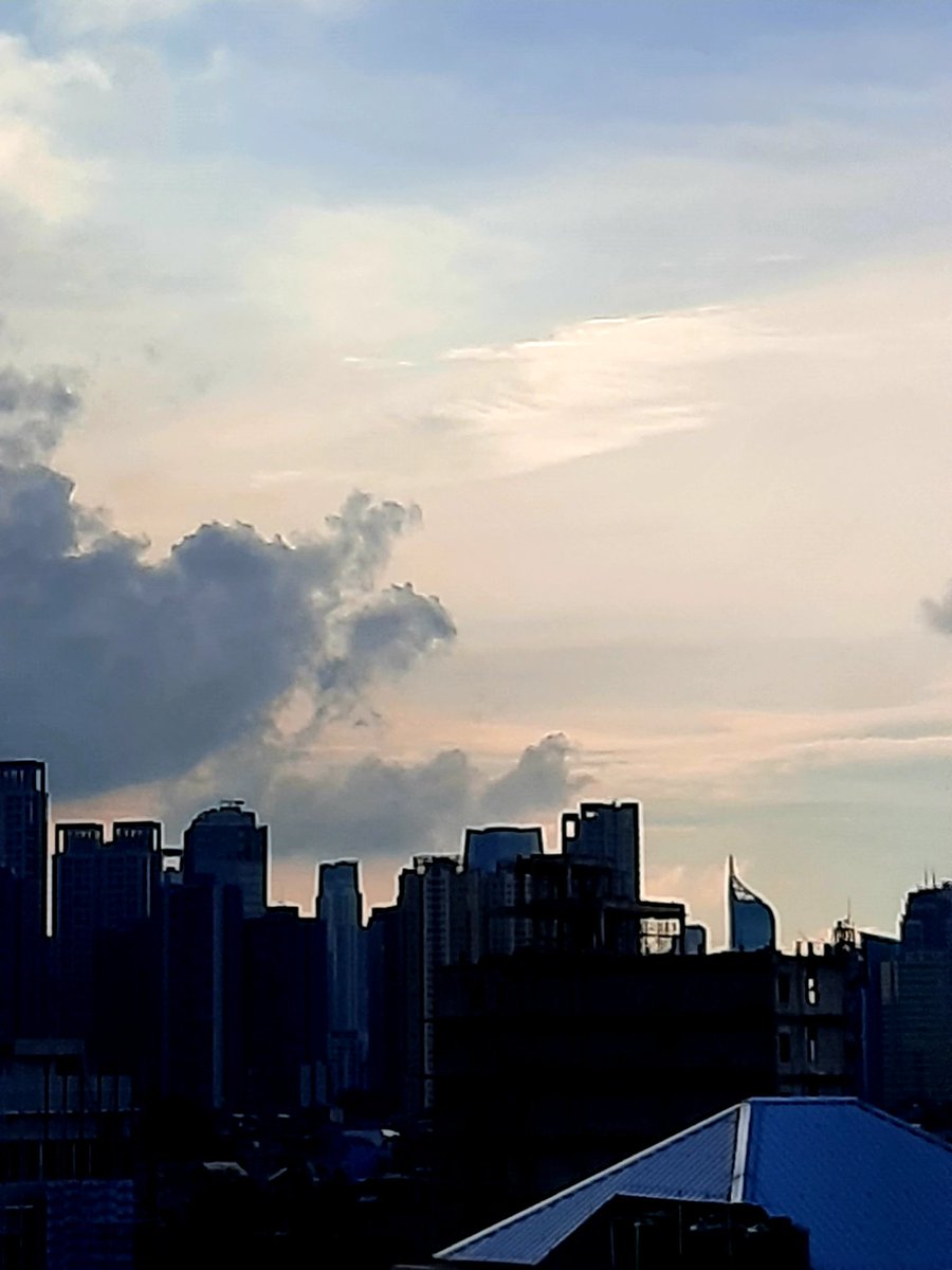 _oeli's tweet image. 