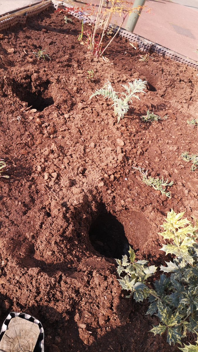 Christophe Binovski tweet media