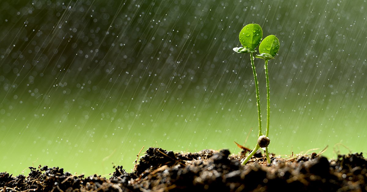 Ingredion tweet media