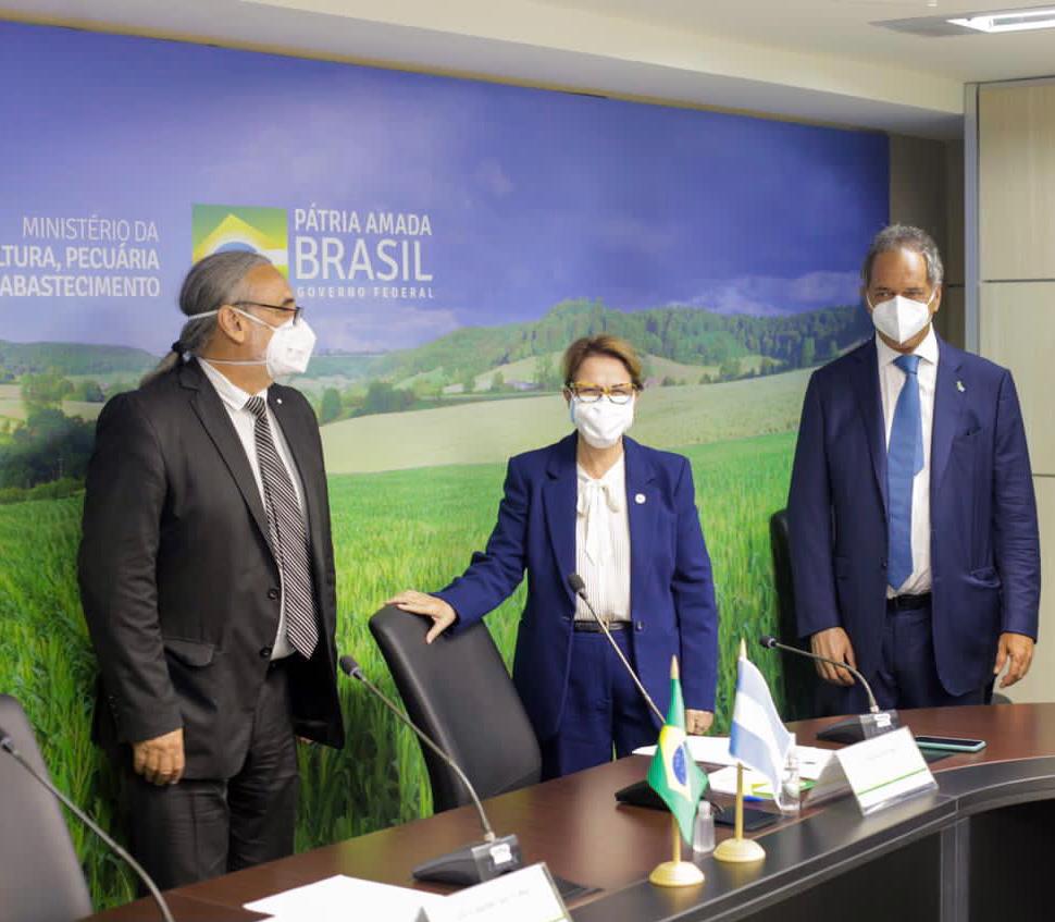 danielscioli's tweet photo. Junto a @LEBasterra, nos reunimos con su par brasileña @TerezaCrisMS en Brasília.

Abordamos temas de acceso a mercados, control integral fronterizo, y la liberación de exportación de productos como el langostino y la uva a granel. https://t.co/yy6eWdQsV7