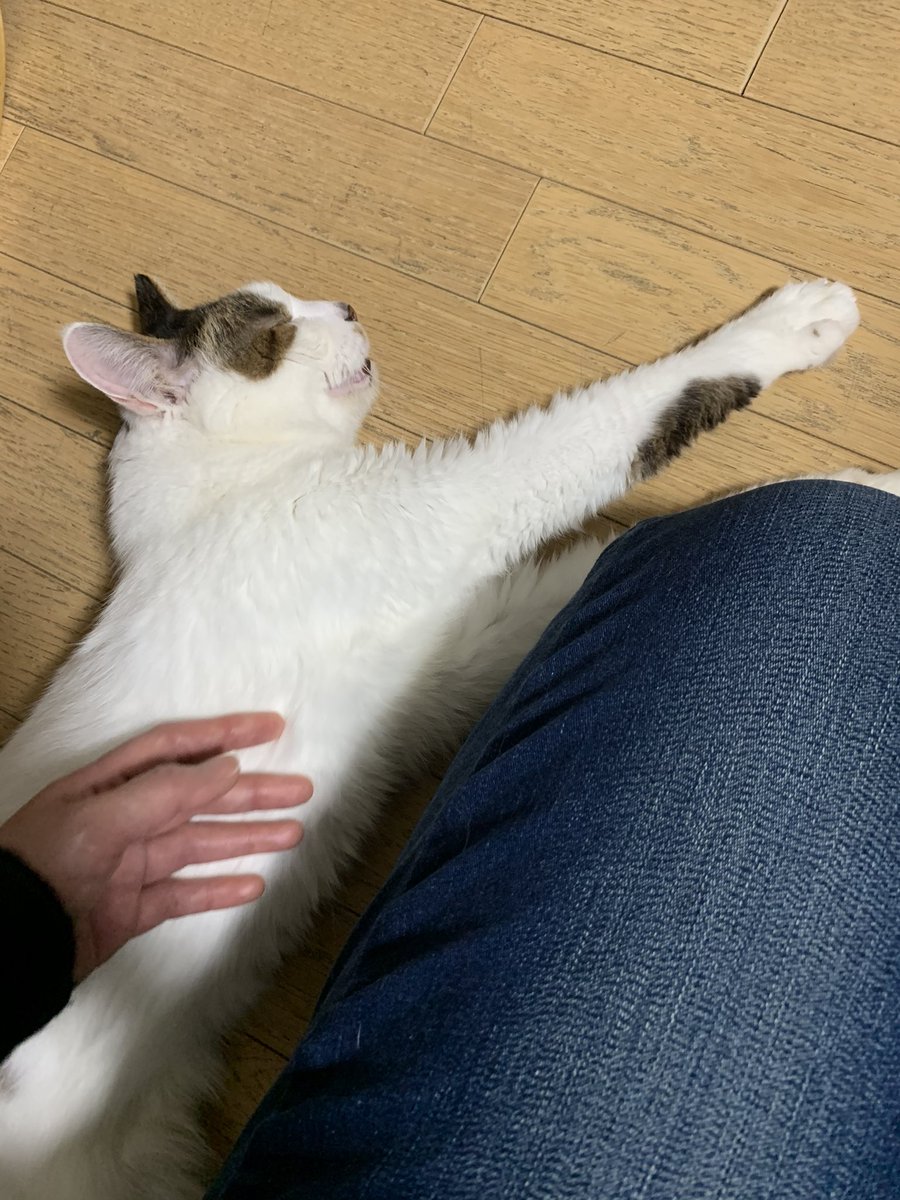 治らない病気 治らない病気