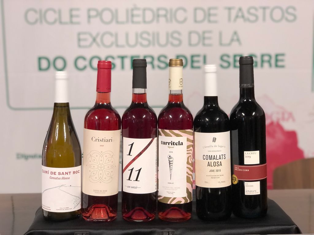 DO Costers del Segre tweet media