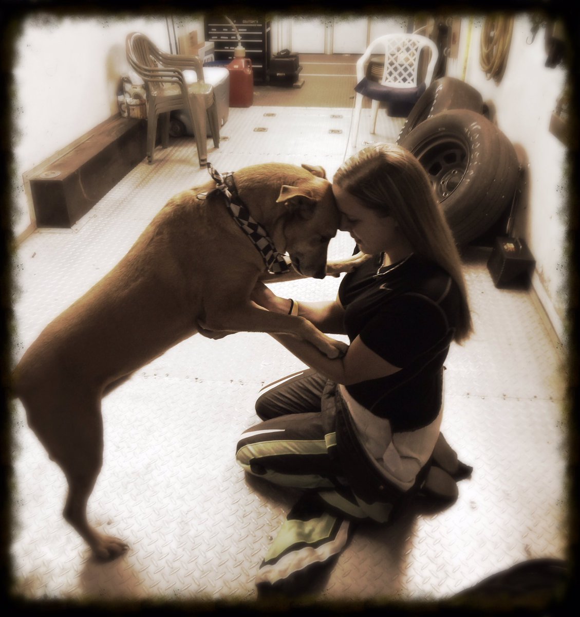 BeccaMonopoli's tweet photo. I watched The Art Of Racing in the Rain again last night. If you haven’t seen it you need to watch it. It’s full of so many meaningful lines about life and racing that most can relate to  #allthefeels #racingdog #imnotcryingyouare https://t.co/EvflqOk5E6