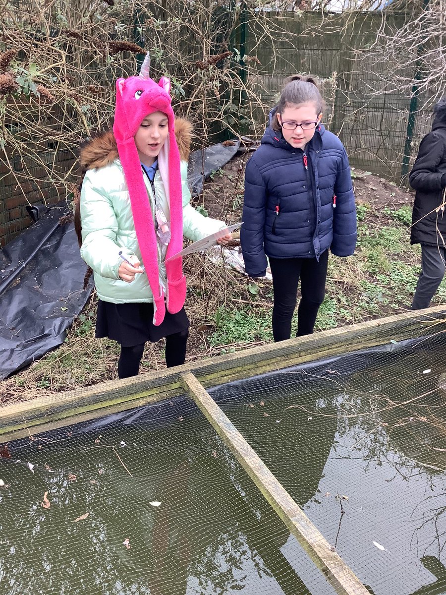 MrsSayersLSA tweet media