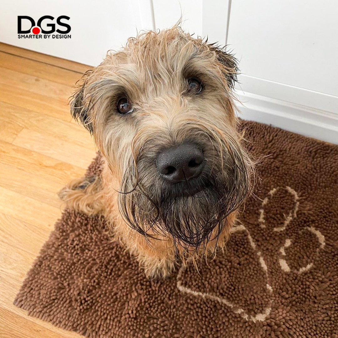 DGSPetProducts's tweet image. Who is a good boy?!? Robin knows the drill...he wipes his 🐾 on the Dirty Dog Doormat.

#dgspetproducts #dirtydogdoormat #microfibermat