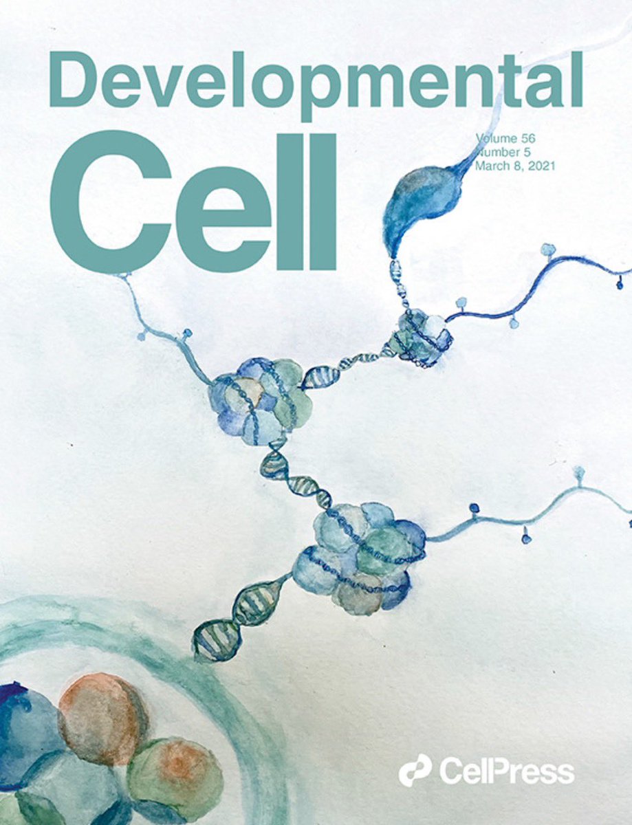 Professor Sarah Kimmins (@kimminssarah) on Twitter photo No BioRender here.....original painting by <a href="/arianelismer/">Ariane Lismer</a> illustrating her latest findings on paternal epigenetic inheritance No BioRender here.....original painting by <a href="/arianelismer/">Ariane Lismer</a> illustrating her latest findings on paternal epigenetic inheritance