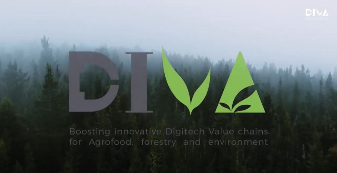 CTA (@ctandalucia) on Twitter photo 🙌 Hemos participado en el evento final del proyecto europeo <a href="/EU_ProjectDIVA/">EU Project DIVA</a> sobre digitalización del sector #agroalimentario, #medioambiental y #forestal 🌿🌲♻️
ow.ly/ODd850DSAEk 🙌 Hemos participado en el evento final del proyecto europeo <a href="/EU_ProjectDIVA/">EU Project DIVA</a> sobre digitalización del sector #agroalimentario, #medioambiental y #forestal 🌿🌲♻️
ow.ly/ODd850DSAEk