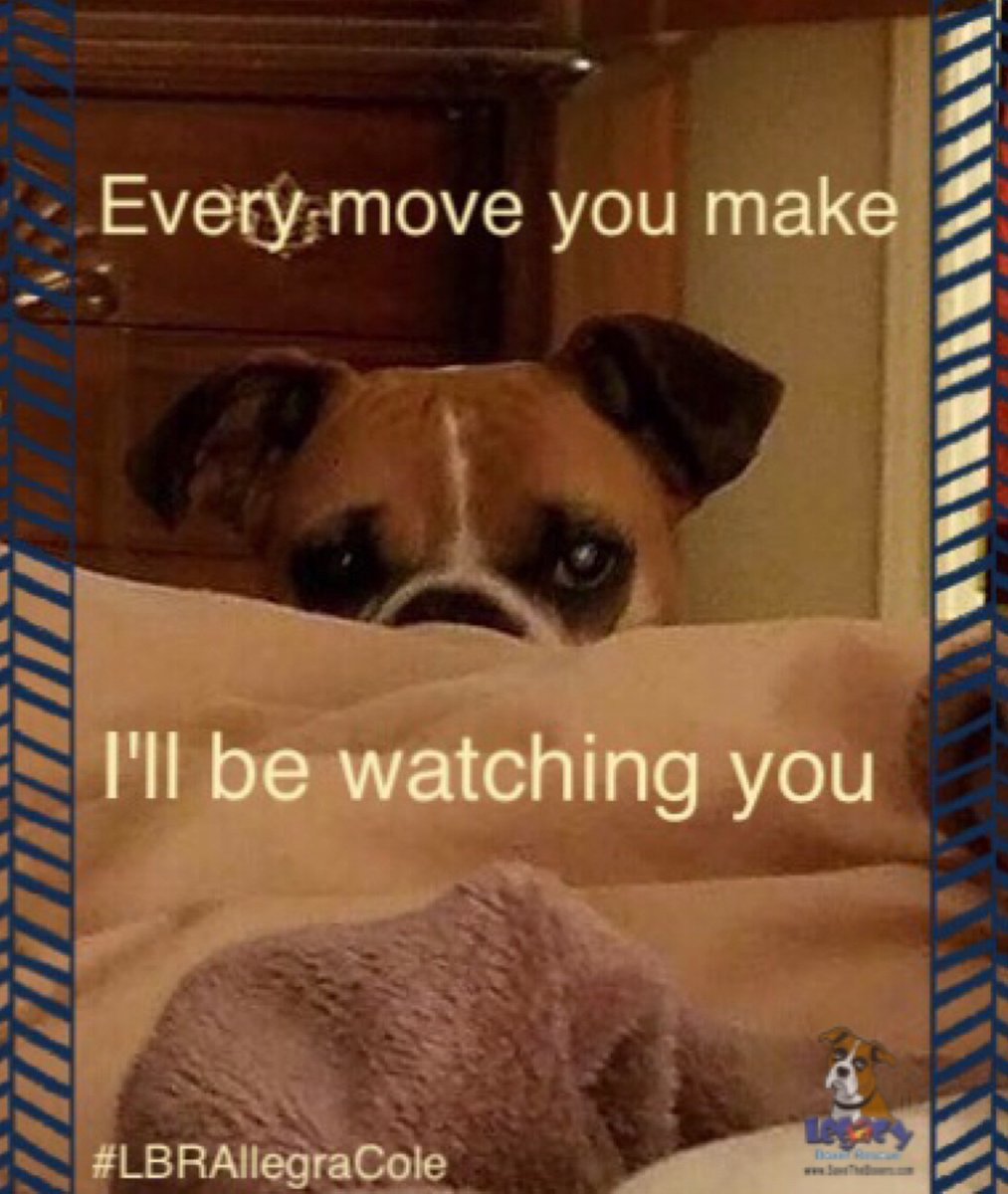 They'll be watching you 😂