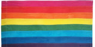 Jack &amp; Verity from Great Yarmouth made this colourful flag from Lego after learning about the very first Gay Pride Flag which was designed by Gilbert Baker and hand dyed by Lynn Segerblom in 1978. @firstsitecolchester #TheGreatBigArtExhibition